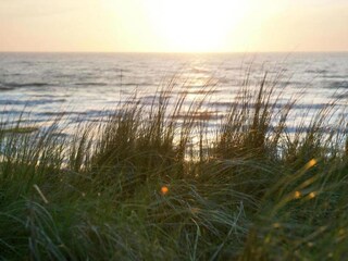 Holiday house Callantsoog Environment 22
