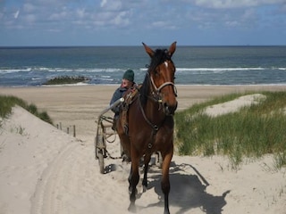 Holiday house Callantsoog Environment 20