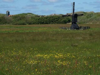Maison de vacances Callantsoog Environnement 36