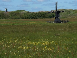 Ferienhaus Callantsoog Umgebung 17