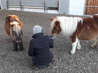 Appartamento per vacanze Bruneck Ambiente 23