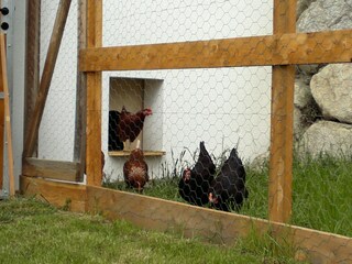 Appartamento per vacanze Bruneck Ambiente 20