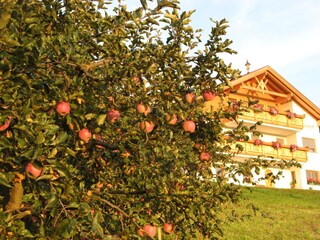 Appartamento per vacanze Bruneck Registrazione all'aperto 7