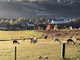 Unsere Nachbarschaft