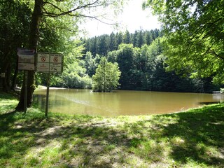 Vakantiehuis Holzerath Omgeving 18