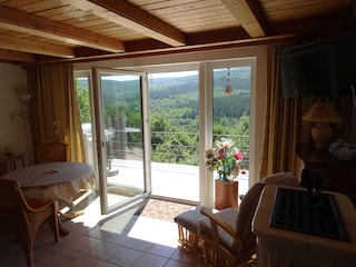 Blick aus dem Wohn- Eßzimmer in den Hochwald