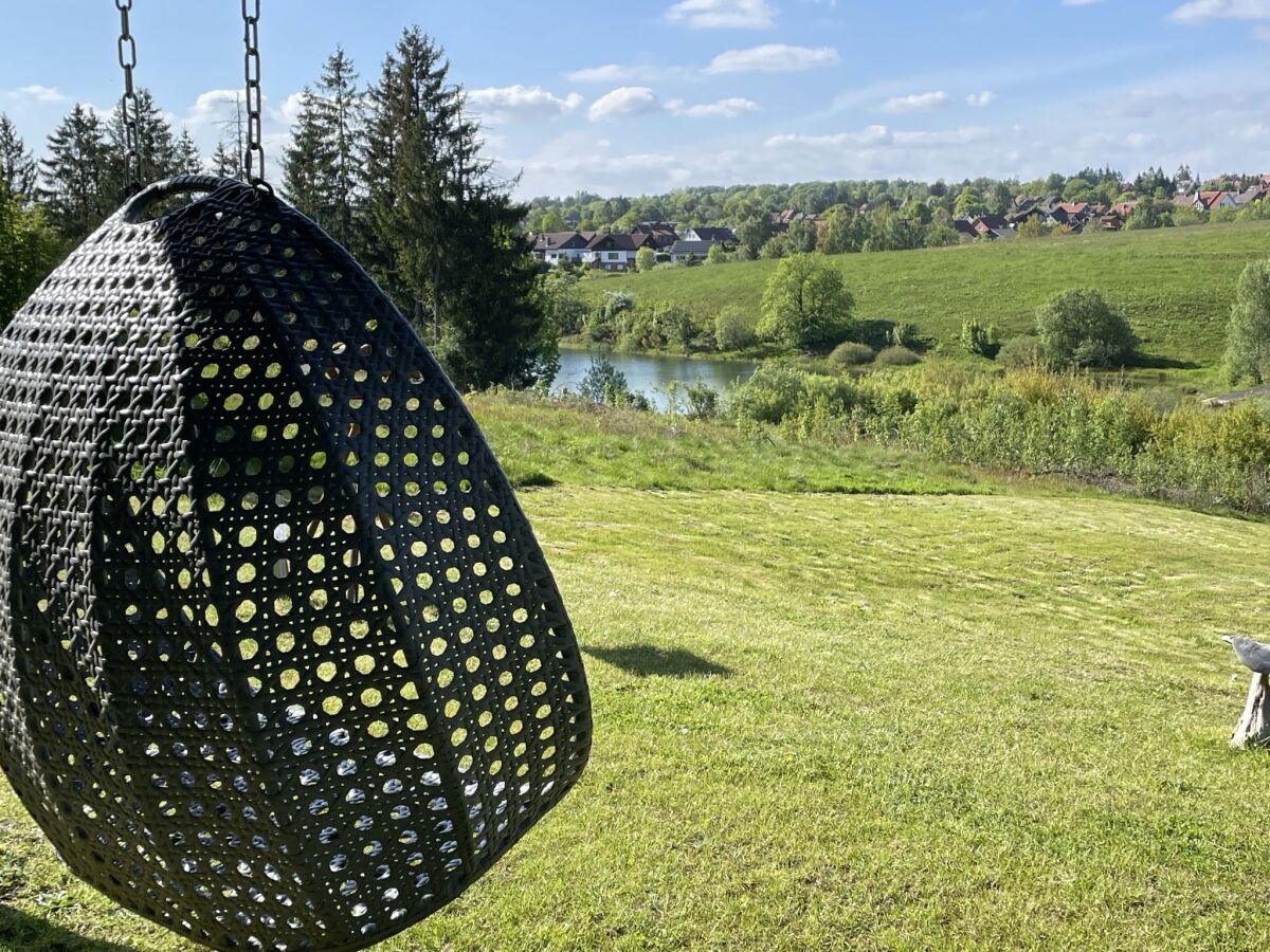 Blick von der Terrasse auf die Bergwiesen