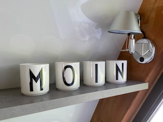 MOIN