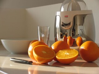 Appartamento per vacanze Nerja Caratteristiche 12