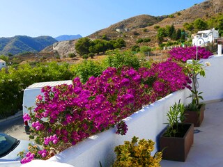 Appartamento per vacanze Nerja Documento 23