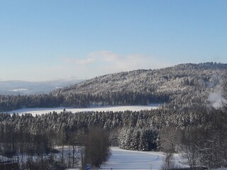 Ausblick auf die Loipe