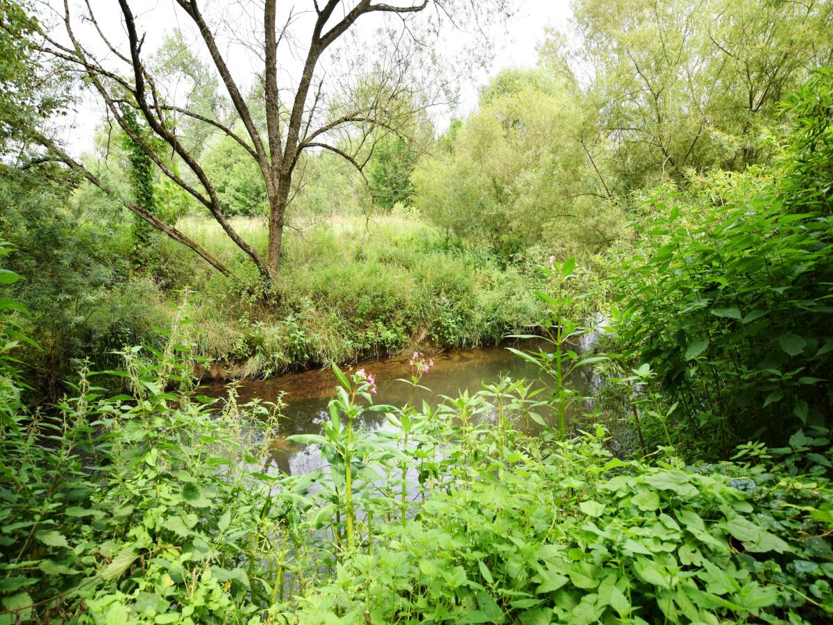 Ferienhaus Robelmont Umgebung 30