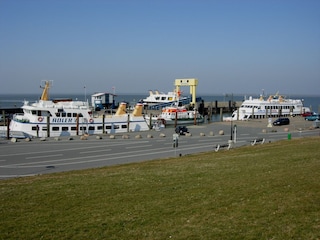 Hafen Strucklahnungshörn