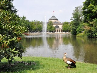Apartamento de vacaciones Wiesbaden Entorno 19