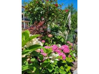 Vakantieappartement Karlshagen Omgeving 8