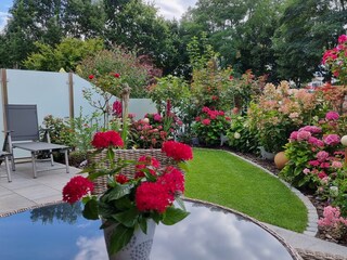 Vakantieappartement Karlshagen Omgeving 9