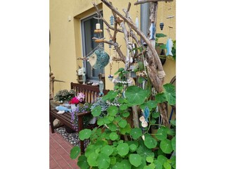 Vakantieappartement Karlshagen Omgeving 2