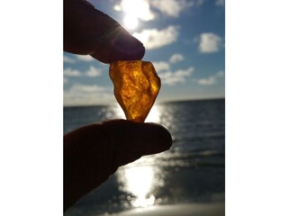 Bernsterne suchen lohnt sich