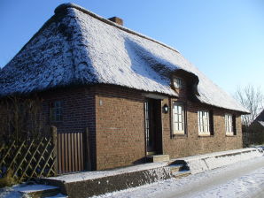 Ferienhaus Moordeich - Nordstrand - image1