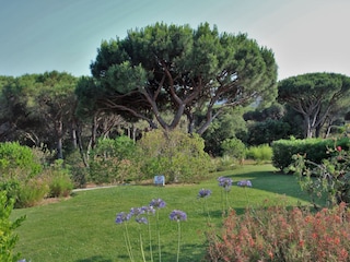 Appartamento Sainte-Maxime Registrazione all'aperto 3