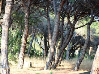 Appartamento Sainte-Maxime Registrazione all'aperto 5