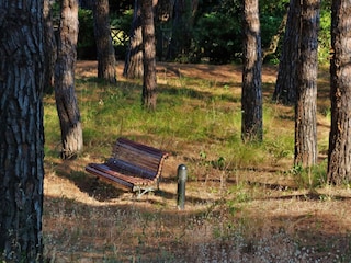 Appartamento Sainte-Maxime Registrazione all'aperto 10