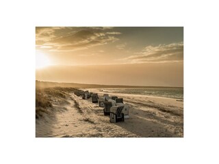 Die Ostsee ist ca 1 Autostunde entfernt bis Warnemünde