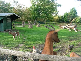 Casa per le vacanze Schoorldam Ambiente 18