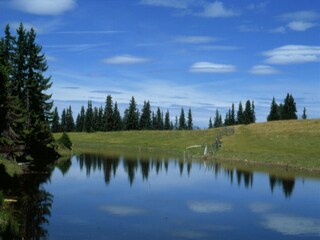 Appartamento Afritz am See Ambiente 32