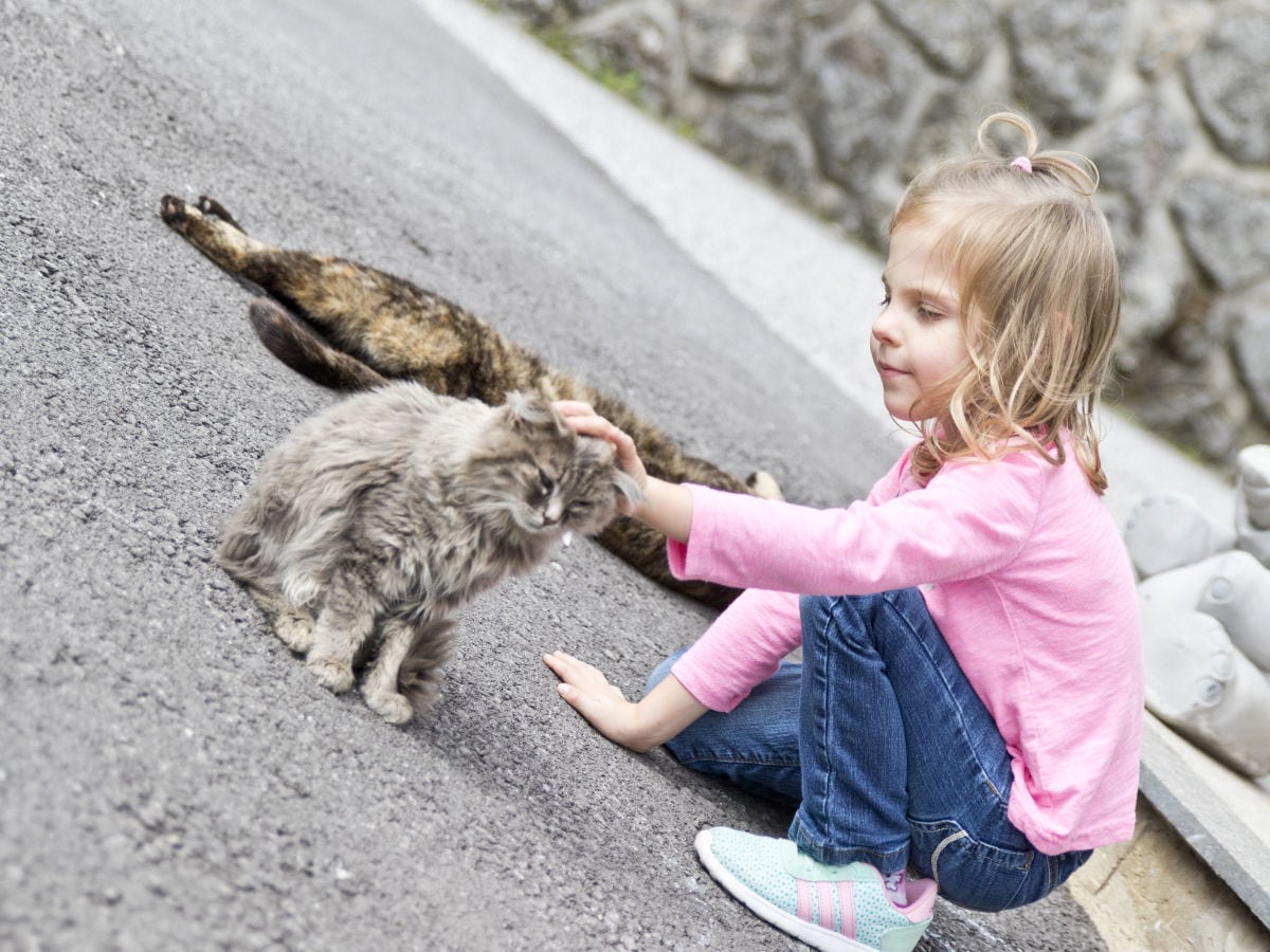 Bauernhof ideal für Kinder