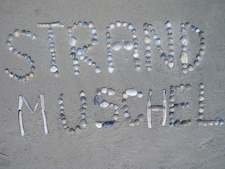 Ferienwohnung Norderney Umgebung 20