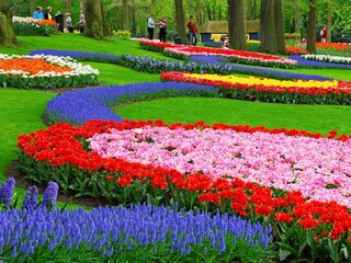 Appartamento per vacanze Noordwijk Ambiente 12