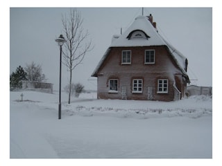Asgard eiskalt