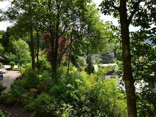 Ferienhaus Strotzbüsch Außenaufnahme 3