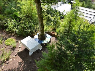 Ferienhaus Strotzbüsch Außenaufnahme 6