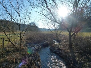 Casa de vacaciones Strotzbüsch Entorno 20