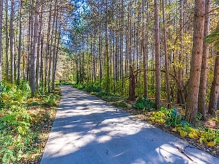 Vakantiehuis Strotzbüsch Omgeving 29