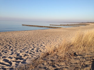 Strand Hohe Düne