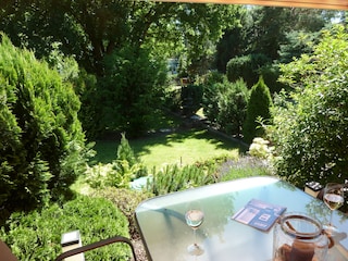 Blick in den Garten
