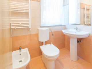 Vakantiehuis Nedescina Kenmerken 39