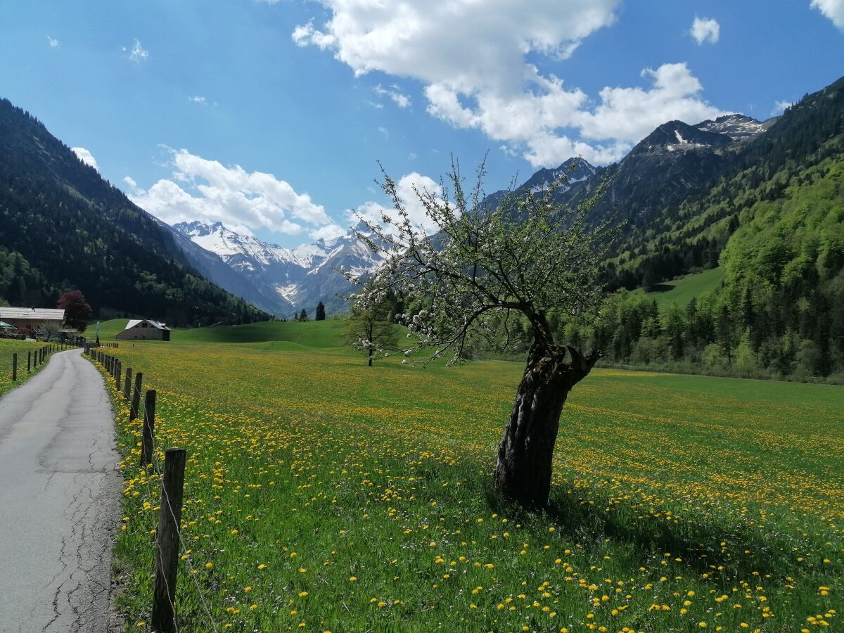 Oberstdorfer Täler