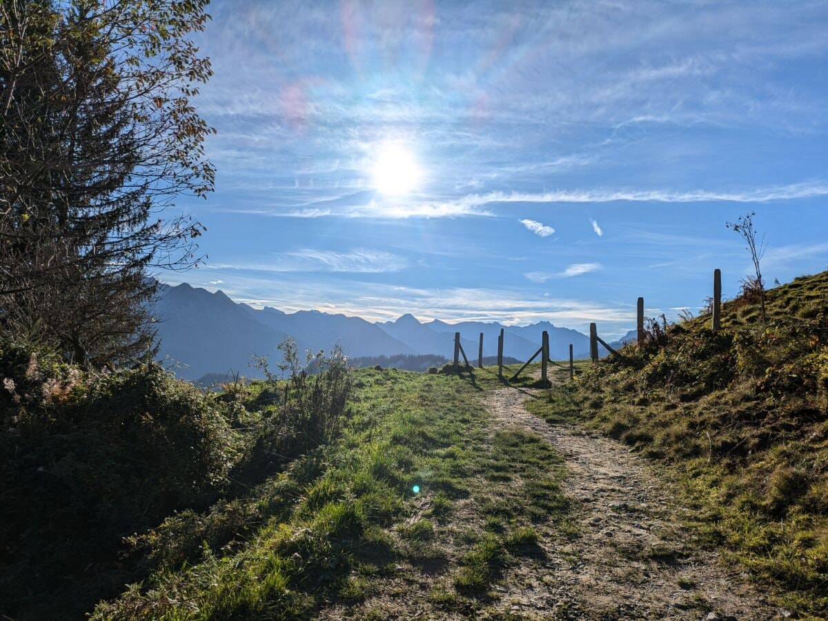 Weg zum Sonderdorfer Kreutz Sommer