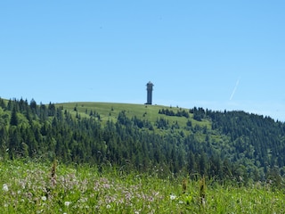 Wanderparadies Feldberg imSommer
