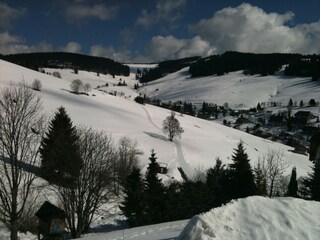 Winterparadies Todtnauberg