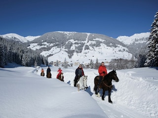 Ferienhaus Zell am Ziller Umgebung 30