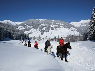 Holiday house Zell am Ziller Environment 27