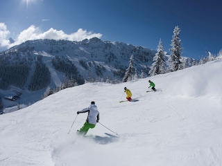 Ferienhaus Zell am Ziller Umgebung 27
