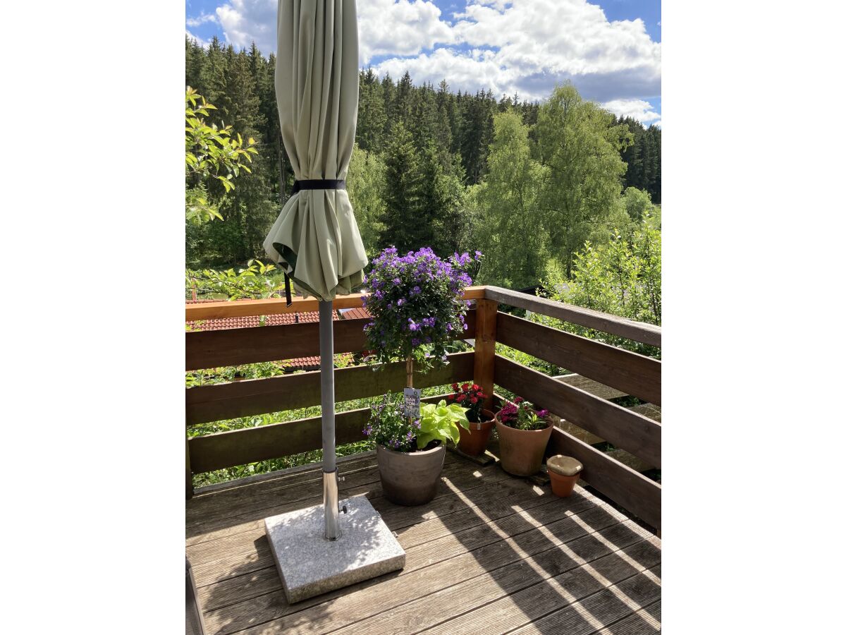 Terrasse mit Blick in den Wald