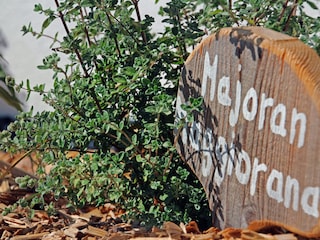 Der Kräutergarten für unsere Gäste