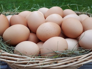 Eier von unseren freilaufenden Hühnern